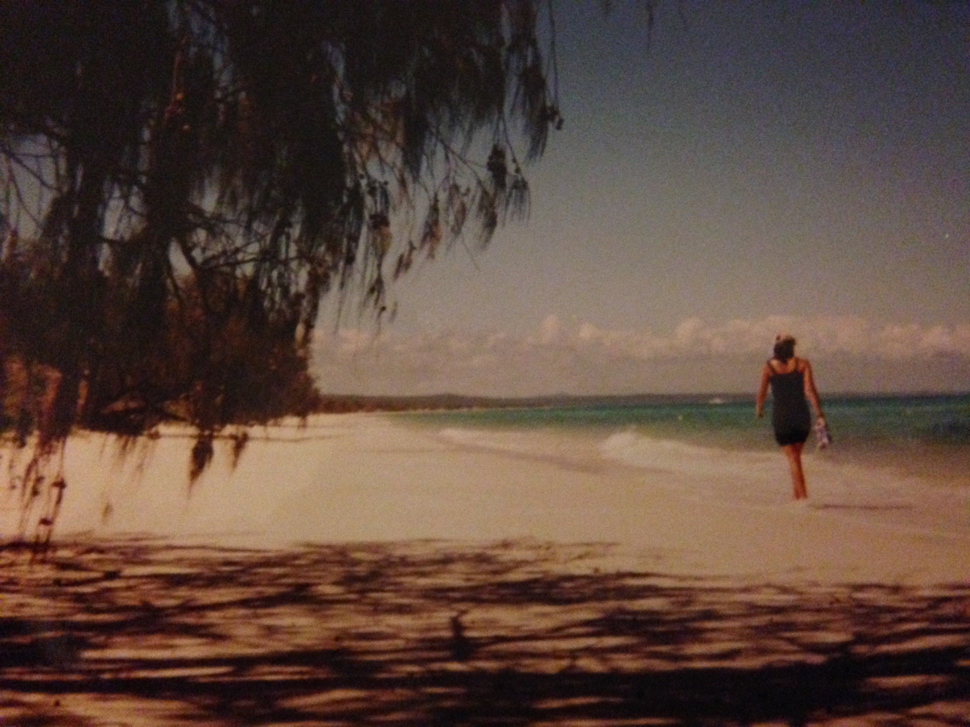 Fraser Island 1996